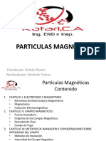 Particulas Magneticas Cap I II III IV V Vi Vii