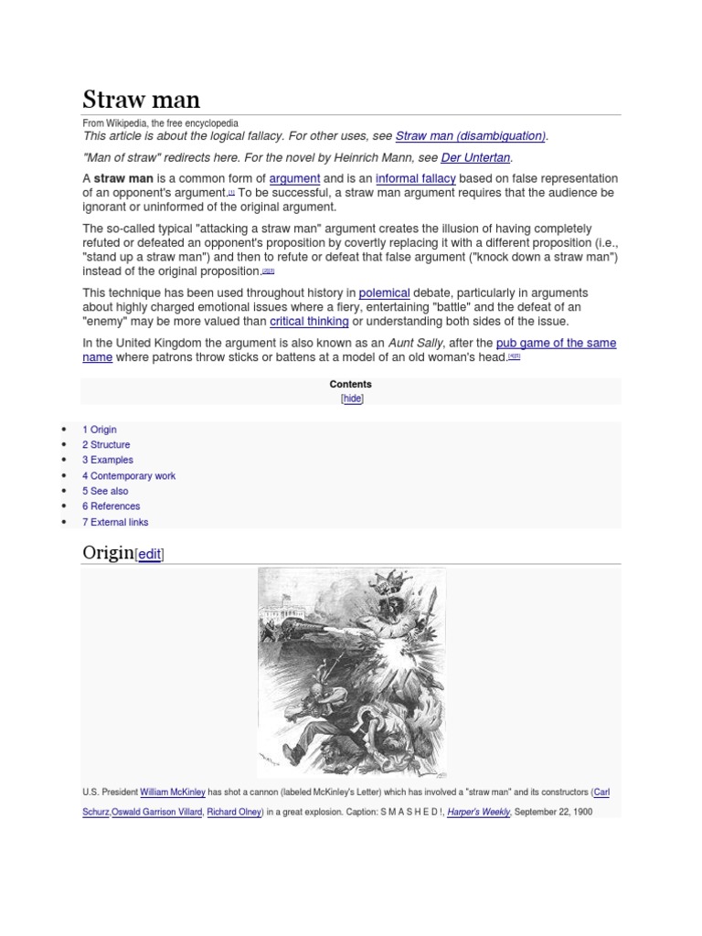 Straw man fallacy examples in media 2020 image