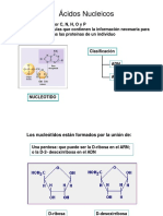 7_acidos_nucleicos