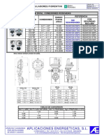 Re - FD - Reguladores Fiorentini PDF