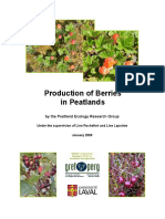 Production of Berries in Peatlands