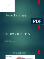 Neurohipofisis.pptx