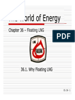 36A - Why Floating LNG