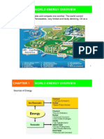 CHAPTER I WORLD ENERGY OVERVIEW.pdf