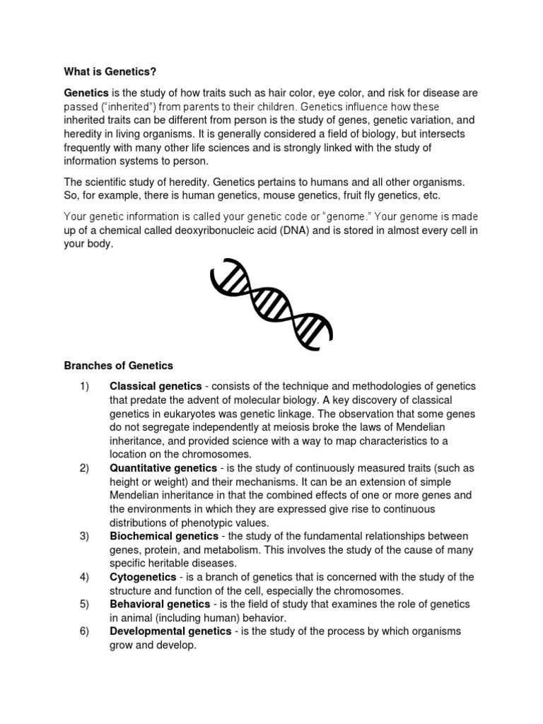 Overview of Genetics Branches | PDF | Heredity | Genetics