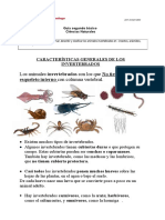 Guía de invertebrados: insectos, moluscos, arácnidos y crustáceos