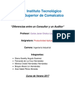 Consultor y Auditor Tarea Entregada