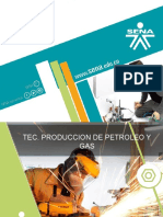 PRODUCCION DE PETROLEOS 0.1.pptx.pptx