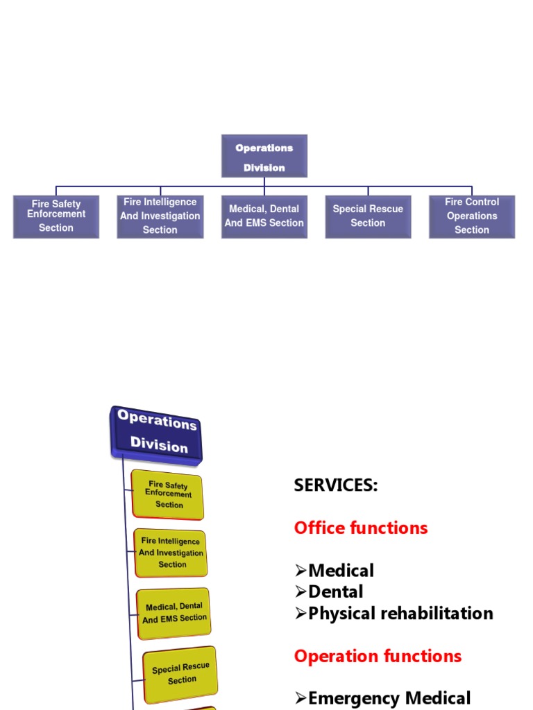 Overview of HEMS 2 PDF Security Emergency Medical Services