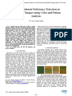 Multiple Nutrient Deficiency Detection in Paddy Leaf Images Using Color and Pattern Analysis