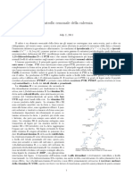 controllocalcemia.pdf