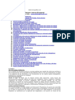 Derecho Laboral (Paraguay) - Analia Cibils.doc