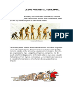 La Evolucion de Los Primates Al Ser Humano