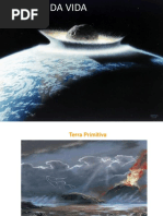 7ano a Origem Da Vida