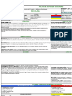 MSDS Gasolina