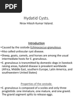 Hydatid Cysts.: Nirav Hitesh Kumar Valand