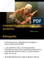 Lesiones de Tendones