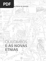 quilombos-novas-etnias (6).pdf