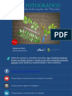 Guia-Identificação de plantasl.pdf