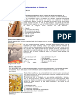 Peluqueria-paso-a-paso.pdf