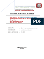 Caratula de Derecho Pueblos Indigenas - IAI (II CICLO)