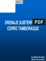 TAMBORAQUE.pdf