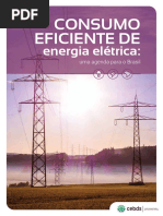 CEBDS_CONSUMO_EFICIENTE_DE_ENERGIA_ELÉTRICA-uma_agenda_para_o_brasil-NAVEGAVEL