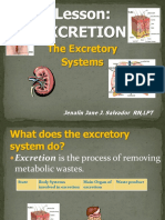 Excretion