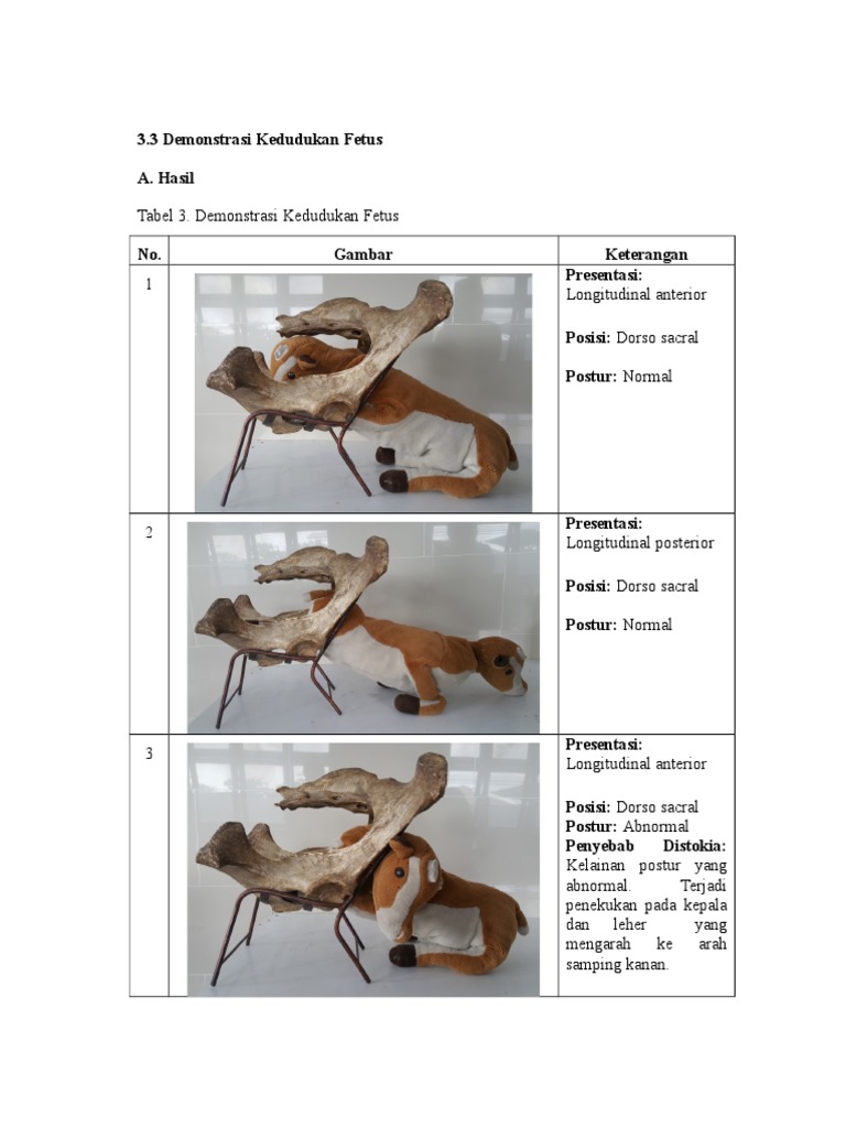 Laporan Distokia | PDF | Kesehatan Holistik