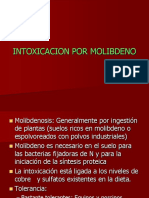 Toxicacion Por Molibdeno