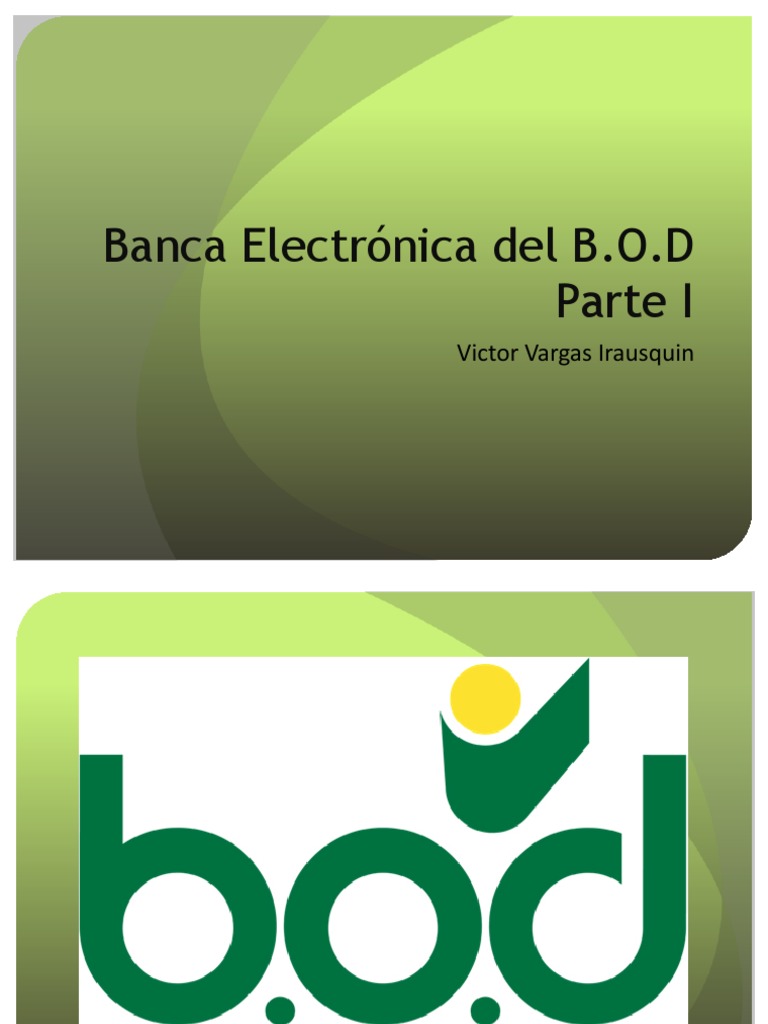 Victor Vargas Irausquin Banca Electrónica del