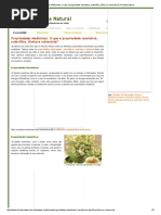 Modelo de carta de pedido de doação