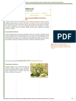 Propriedades Medicinais - O Que É Propriedade Resolutiva, Sudorífica, Tônica e Vulnerária - Receita Natural