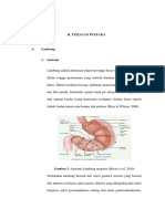 Unila Lambung PDF