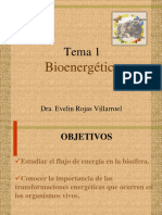 Bioenergética - Dra Evelin Rojas Villarroel