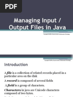 Input Output Files