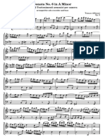 IMSLP317203-PMLP491119-albinoni-sonata_a_flauto_solo_e_basso.pdf