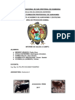 Ganadería criolla en Ayacucho: orígenes, características y usos