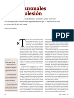 Schmahl, C. (2014) Bases Neuronales de La Autolesion. Mente y Cerebro.nº 66. 58-63