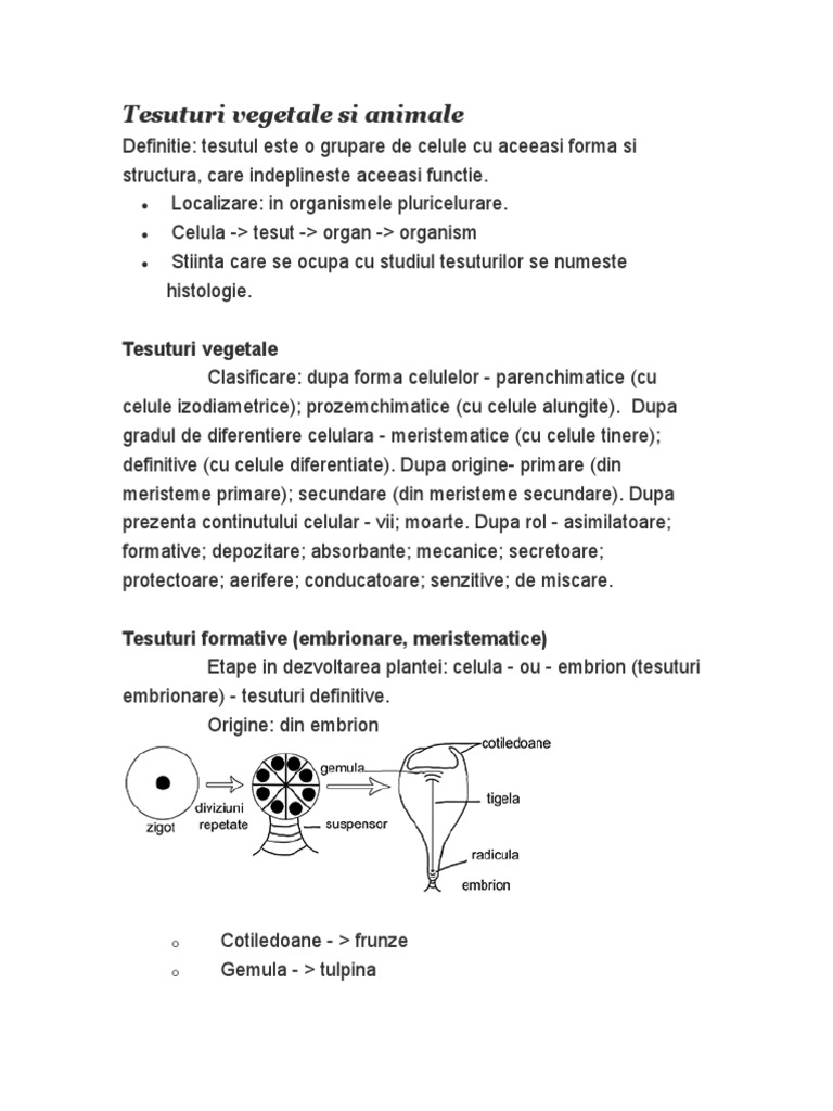 Tesuturi Vegetale Si Animale Pdf