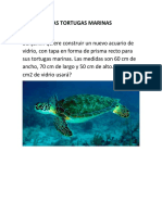 Tortugas Marinas