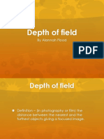 Depth of Field: by Alannah Flood