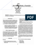 histologica17-21.pdf