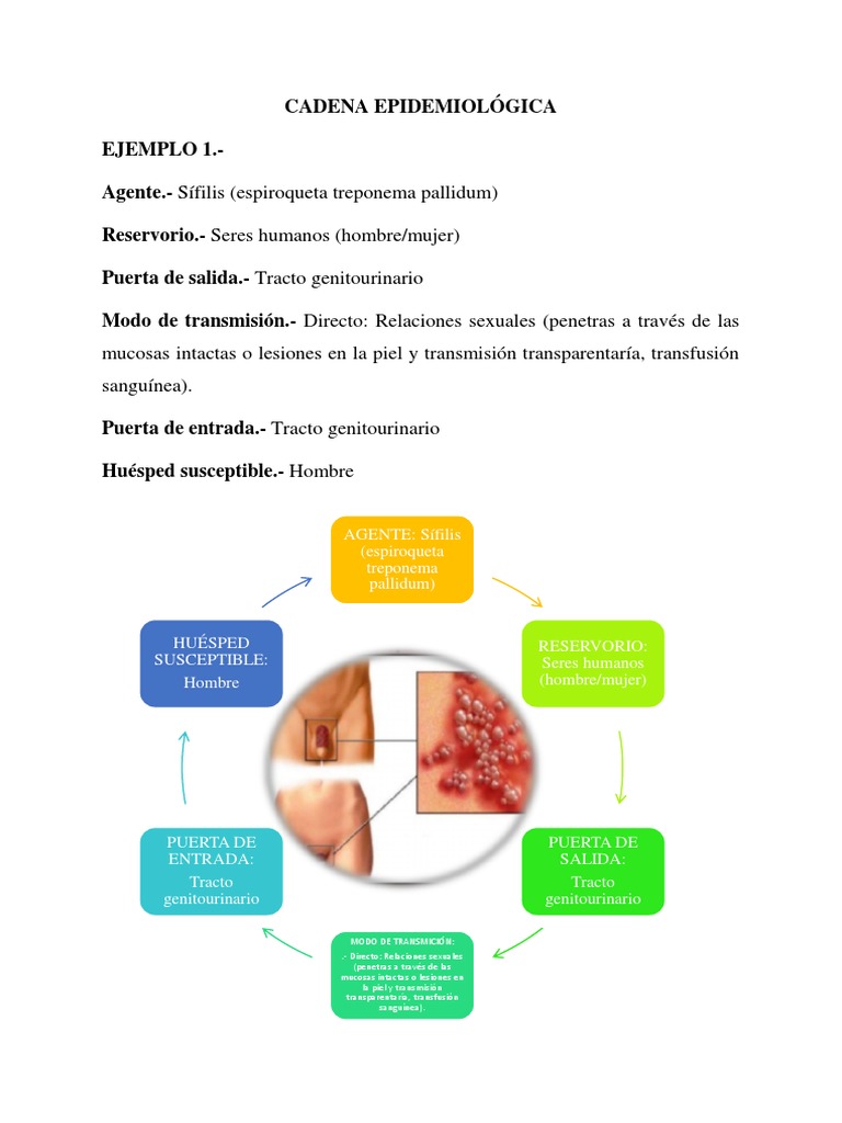 Cadena Epidemiológica (2 Ejemplos) Fiebre del Zika Epidemiología