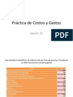 8229 Practica de Costos y Gastos-1496243416