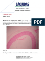 Histologia Do Sistema Circulatório