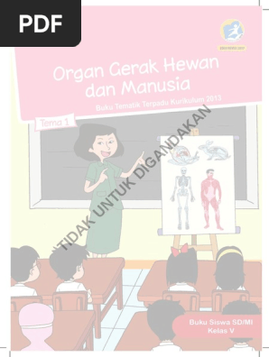 630 Gambar Siput Bukan Hewan Yang Lemah HD Terbaru