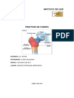 Documento de Fractura de Cadera