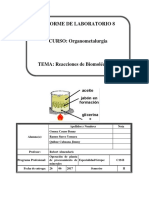 Laboratorio 8 Organometalurgia