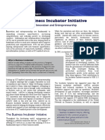 6209410-infoDev-s-Business-Incubator-Initiative.pdf